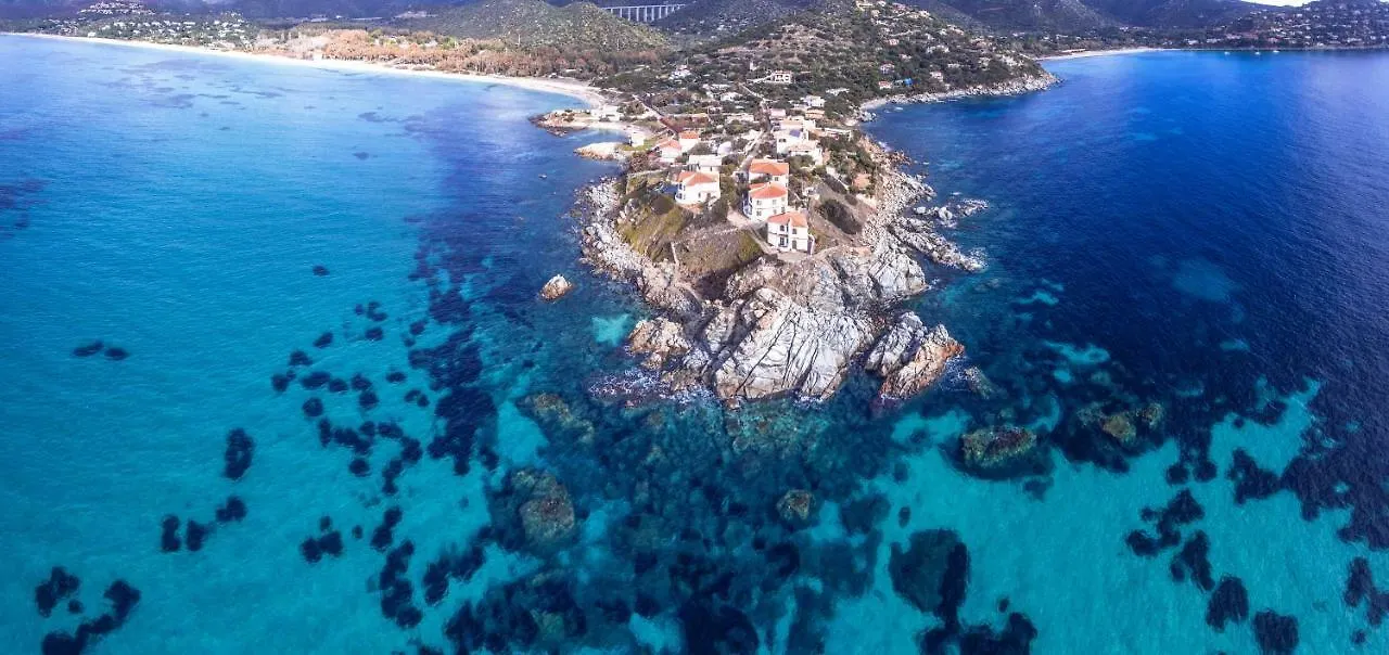 Chambre D'Hotes Les Oliviers Torre delle Stelle Bed & Breakfast