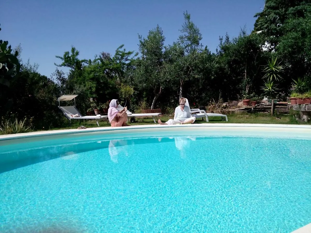 Bed & Breakfast Chambre D'Hotes Les Oliviers Torre delle Stelle
