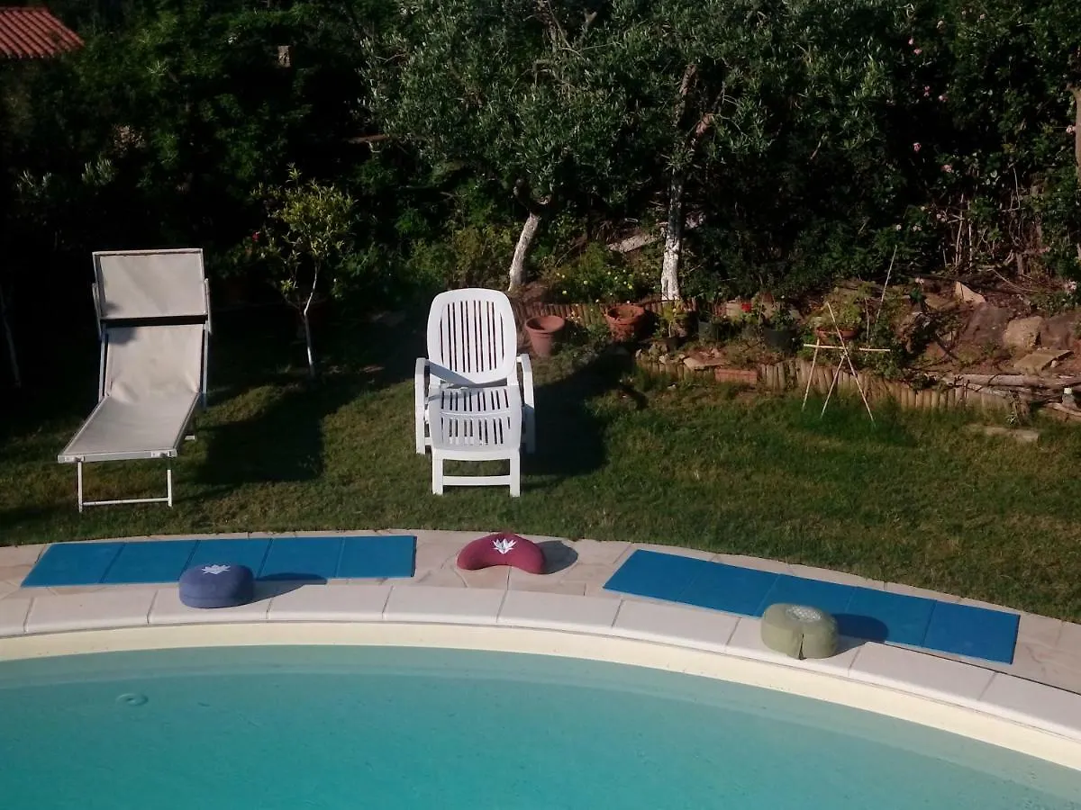 Bed & Breakfast Chambre D'Hotes Les Oliviers Torre delle Stelle